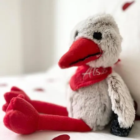 Cocon D'alsace شقة